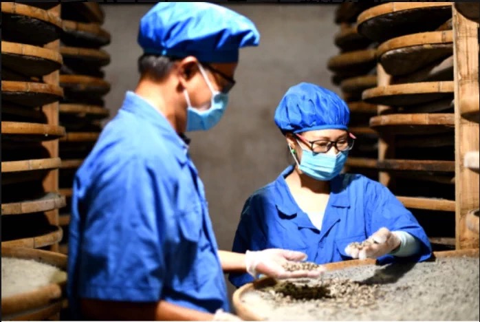 豆豉，湖北通城北港特产 百年老店谦和祥黑豆豆豉