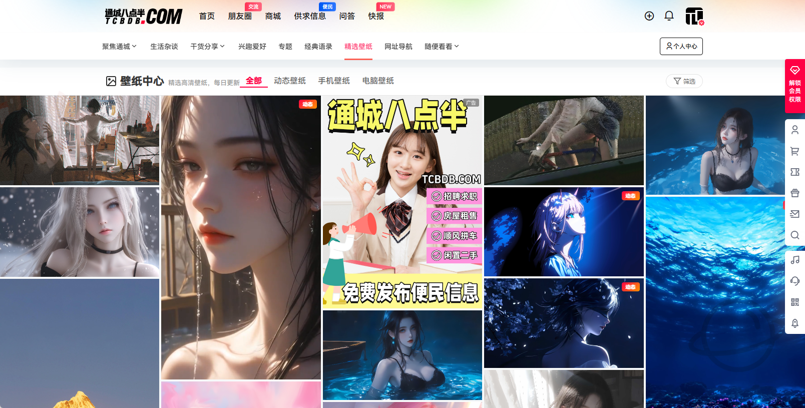 给B2主题添加壁纸中心功能,无缝集成个人中心壁纸收藏以及下载权限,壁纸网站该有的功能都有了