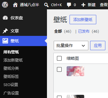 给B2主题添加壁纸中心功能,无缝集成个人中心壁纸收藏以及下载权限,壁纸网站该有的功能都有了